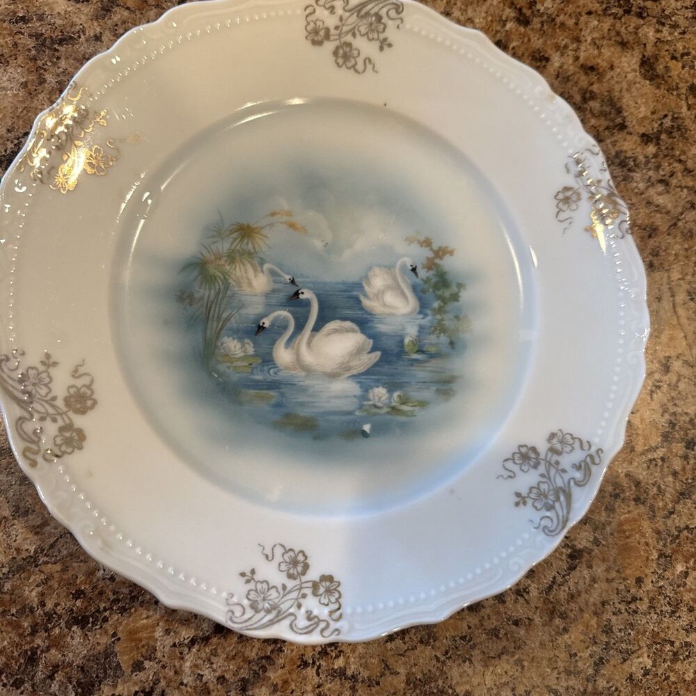 Hand Painted Swan Plate